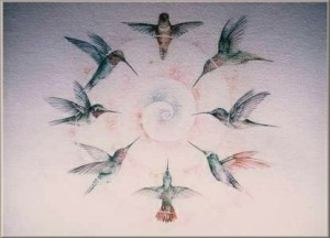meganne_forbes_A-15_circle_of_hummingbirds2-300x216